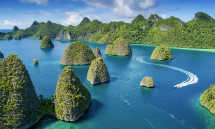 Raja Ampat Papua Memiliki Salah Satu Ekosistem Laut Terkaya