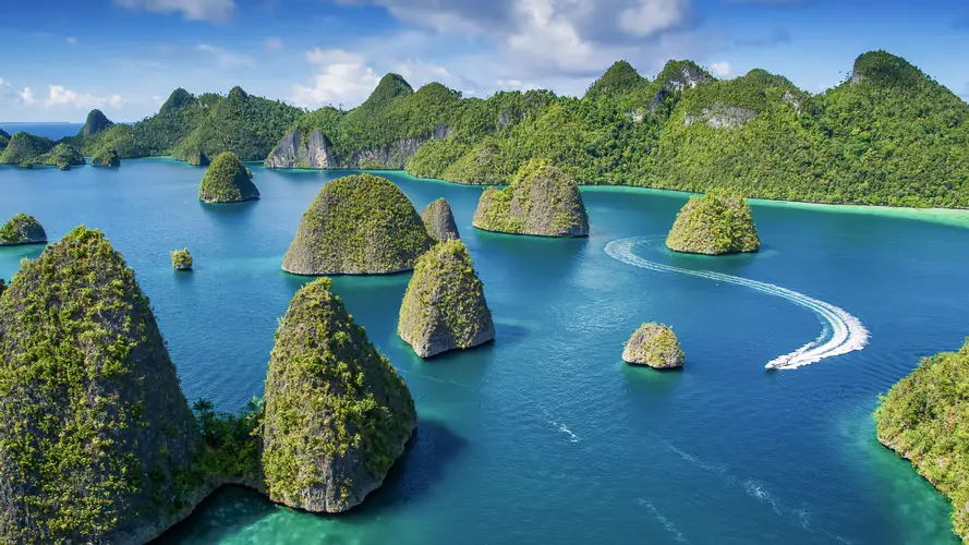 Raja Ampat Papua Memiliki Salah Satu Ekosistem Laut Terkaya