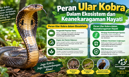 Peran Ular Kobra Dalam Ekosistem Dan Keanekaragaman Hayati
