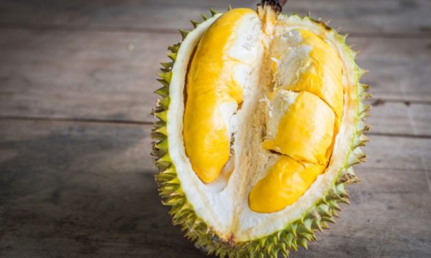 Buah Durian, Raja Buah Yang Sangat Di Sukai Banyak Orang